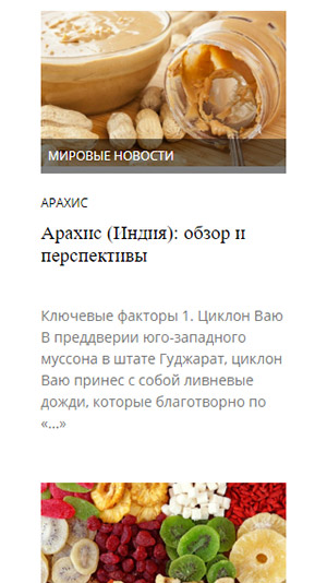 мобильная версия сайта http://givemebid.com/