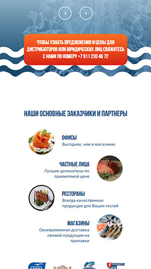 мобильная версия сайта https://5okspb.ru/